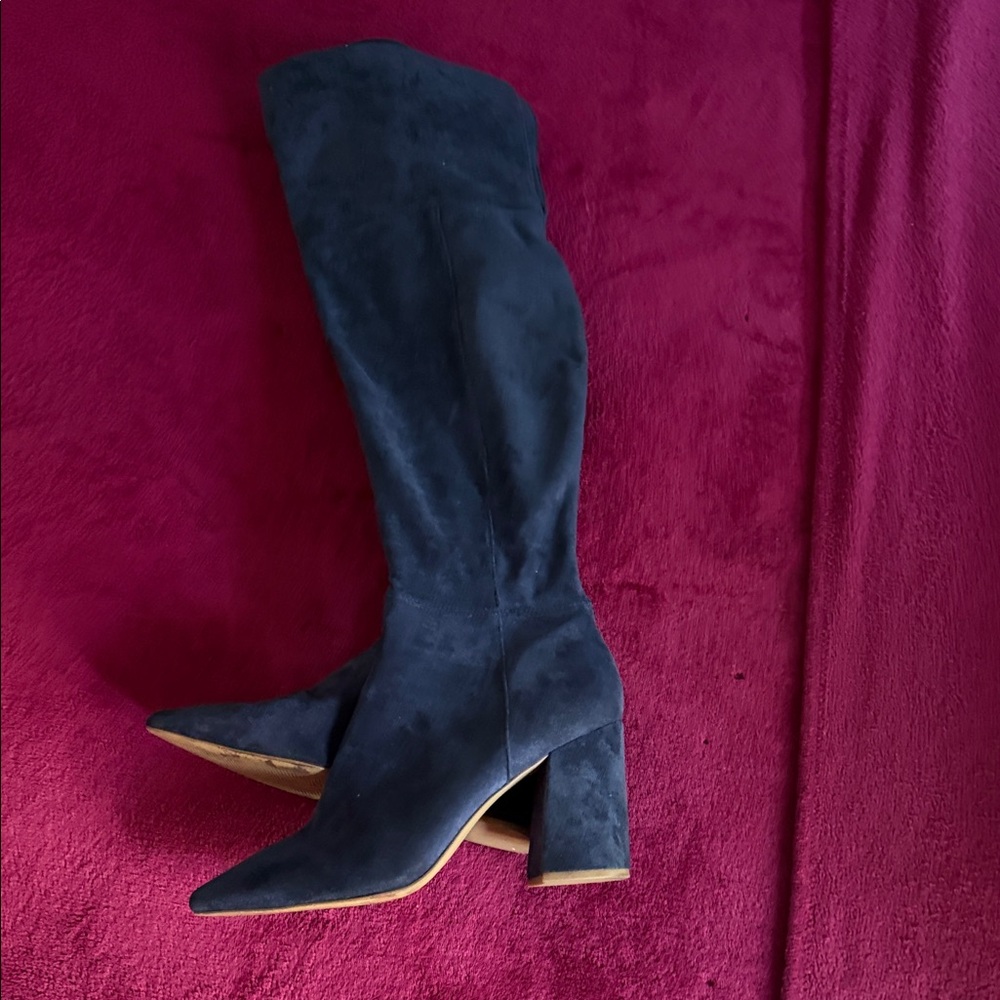 Charles David Blue Suede Heeled Boots